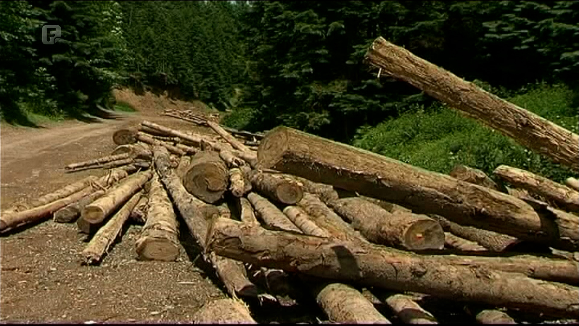 Sve veći utjecaj klimatskih promjena na zdravlje  ljudi